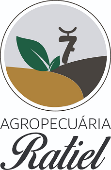 Auth Logo